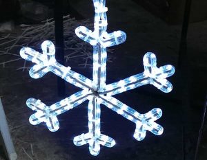 LED KAR TANESİ,